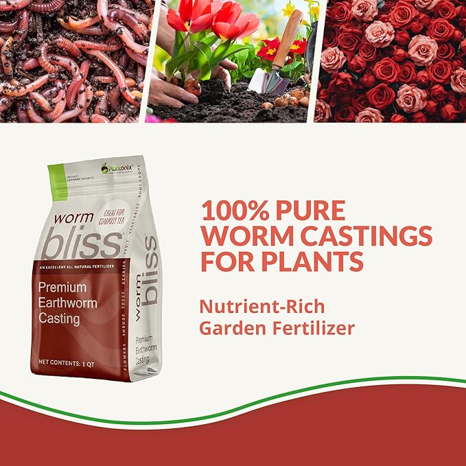 Worm Bliss (1 Qt) + Char Bliss (1 Qt) - Organic Worm Castings for Plants & Organic Biochar for Plants - Earthworm Castings Organic Fertilizer - Biochar Soil Amendment - Charcoal for Plants