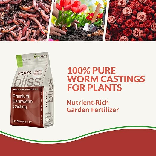 Worm Bliss (1 Qt) + Myco Bliss Granular (200 g) - Mycorrhizal Fungi Inoculant & Worm Castings for Plants - Mycorrhizae for Plants - Earthworm Castings Organic Fertilizer - Mycorrhizal Inoculant