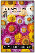Sow Right Seeds - Tall Mixed Strawflower Seeds - Non-GMO Heirloom Packet with Instructions to Grow - Beautiful to Plant in Your Flower Garden - Cut Flower Favorite - Wonderful Gardening Gift (1)