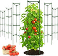 68" Tall Tomato Cage 6 Pack Trellis Stakes - Heavy Duty Plant Support Structures for Vegetables, Tomatoes & Climbing Plants