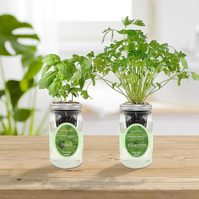 2-Pack Hydroponic Mason Jar Herb Garden Kit, Indoor Herb Garden Self-Watering Starter Kit (Basil,Cilantro)