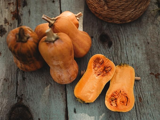Honeynut Squash Seeds - 25 Count - Mini Butternut Squash Variety, Non-GMO, Heirloom Baby Butternut Squash Seeds for Planting in The Home Garden, Thresh Seed Company