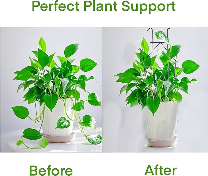 3 Packs Trellis for Climbing Plants Indoor, Small Garden Metal Trellis for Potted Plants, Plants Accessories with Different Patterns for Vine Ivy Flower Plant Support