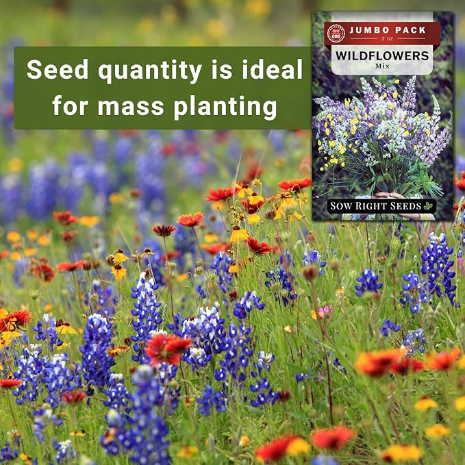 Sow Right Seeds - Bulk Wildflowers Seeds Mix for Planting - Annuals & Perennials - 2 Ounces, 56000 Seeds - Non-GMO Heirloom Jumbo Pack - Colorful Blooms for Home Grown Garden - Attract Pollinators