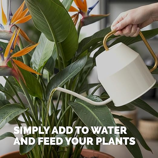 Bird of Paradise Fertilizer – Liquid Plant Food for Bigger Tropical Leaves, Stronger Roots & Healthy Upright Growth, 8 oz