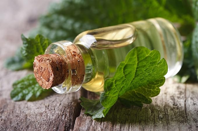 Herbal Tea Seeds Collection, 2000 Seeds, 4 Heirloom Non GMO Varieties, Chamomile, Lemon Balm, Mint, Purple Cone Flower.