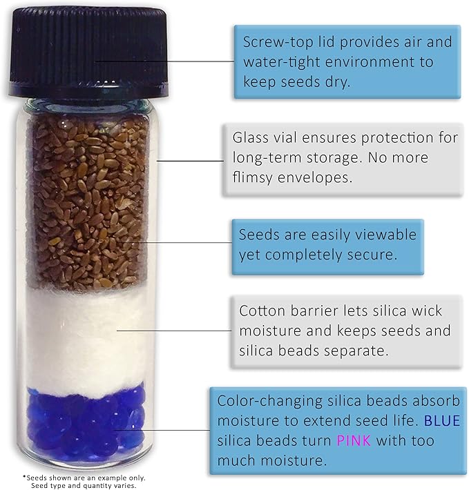 Frozen Seed Capsules - Stevia (Stevia rebaudiana) - Grow Now or Store for Future Planting - Capsule of 10 Seeds