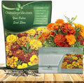 Outsidepride French Marigold Seeds Mix - 1/4 Lb. Annual, Compact, Heat & Drought Tolerant Flower Seeds for Planting w/Orange & Yellow Prolific Blooms, Ideal for Vibrant Pollinator Gardens