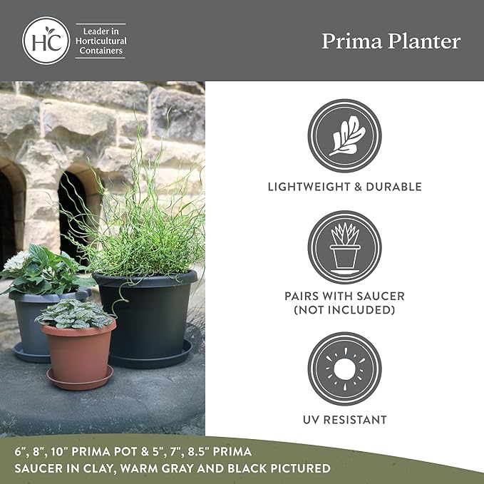 The HC Companies Prima Round Plastic Plant Pot w/Rolled Rim - Lightweight & UV Resistant Flower Pot for Herbs & More - Outdoor & Indoor Plant Pots w/Drainage (8 inch, Marsala, Pack of 1)