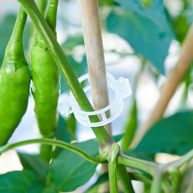100Pcs Garden Vine Plant Support Clips,Plastic Fixing Clips for Securing and Training Climbing Plants,Tomatoes,Grapes,Vine Vegetables and Potted Plant (100, White)