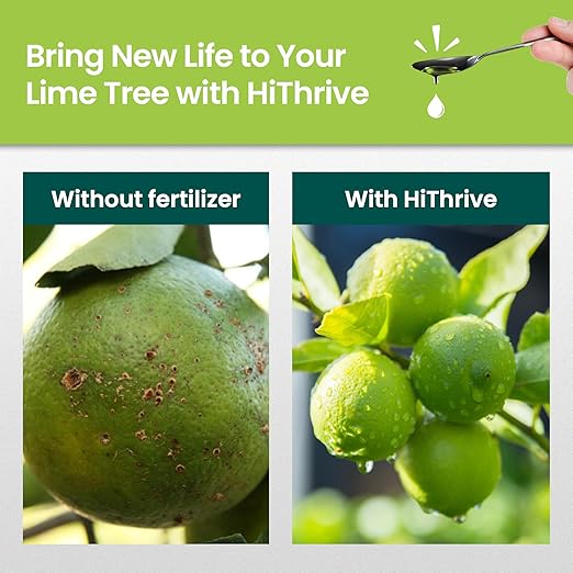 Lime Tree Fertilizer 32oz - Citrus Fertilizer for Lime Trees Live Plants - Makes 32 Gallons of Liquid Fruit Tree Fertilizer - Citrus Plant Food