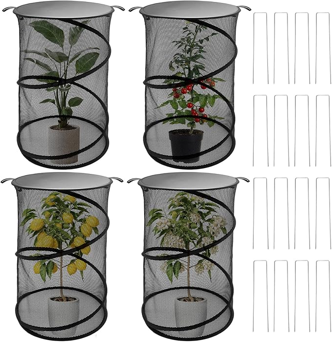 MDEOOSKY 4 Pack Pop Up Plant Covers Tent with Lid, 23.6"x11.8" Round Insect & Bird Barrier Mesh, Garden Protector Cage with 16 Ground Stakes, Foldable for Outdoor & Indoor Plants, Black