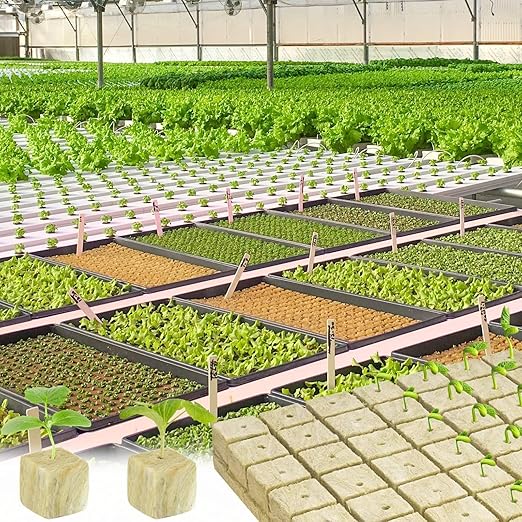 Halatool 1.5 Inch Rockwool Cubes Garden Rock Wool Grow Cubes Starter Plugs for Hydroponics Soilless Cultivation Seedlings Cuttings Clone Plants Germination Start (2 Sheets, 98 Plugs in Total)