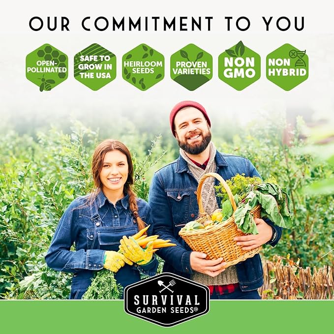 Survival Seed Vault Kit – 100 Packs of Heirloom Vegetable Seeds for Planting – Non-GMO Vegetables, Fruits, Herbs – Farmer Kit to Grow Food for Long-Term Emergency Storage – Survival Garden Seeds