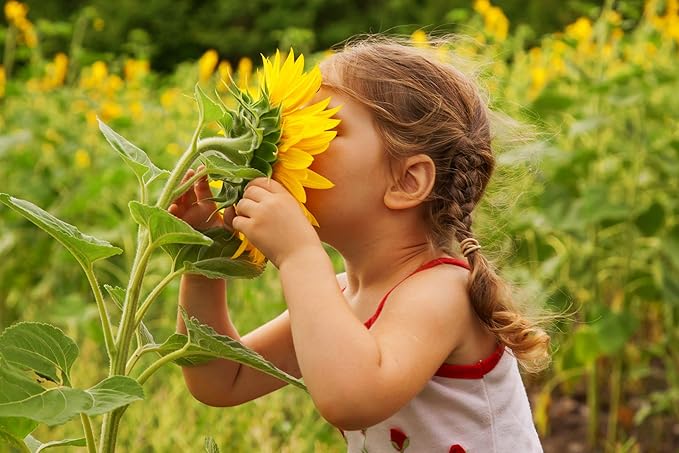 NatureZ Edge 2600+ Sunflower Seeds for Planting Bulk Variety Pack, Get More Sunflower Seeds to Plant, from Dwarf Sunflowers to Giant Sunflower Seeds, Includes Mammoth Sunflower Seeds, Non-GMO