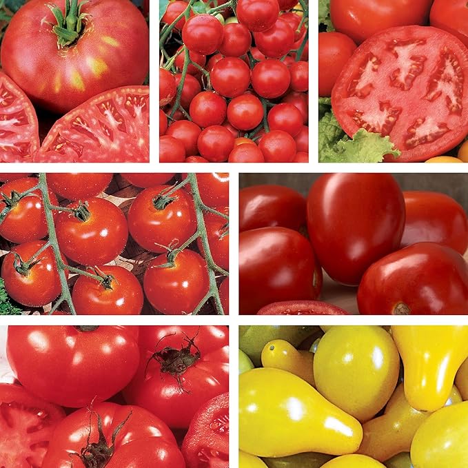 Ferry-Morse Tomato Lover Organic Seed Variety Pack - 7 Pack