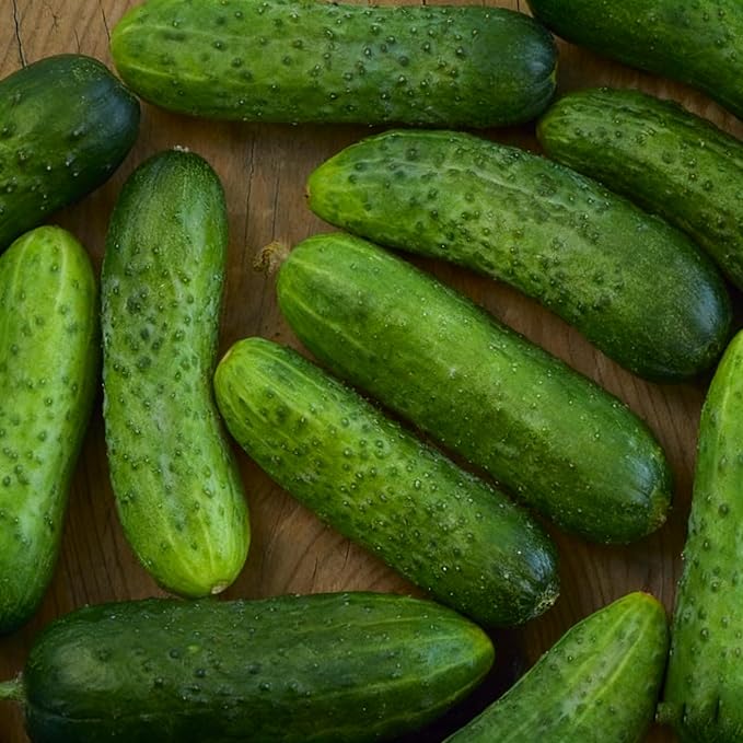 Cucumis Vegetable Fruit Seeds for Planting, 100 Cucumber Seeds, Heirloom Delicious Cucumber Vegetable Seeds for Small Garden Border, Home Outdoor