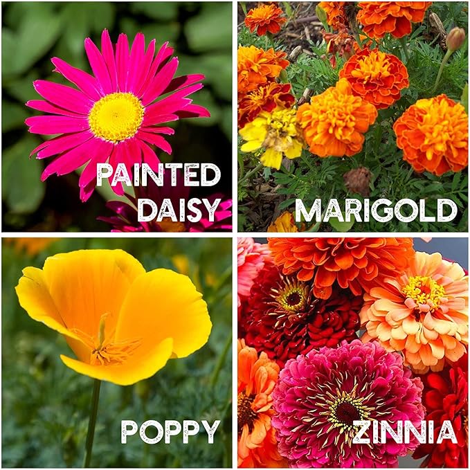 35 Varieties of Flower Seeds for Planting, ~20,000 Seeds - Includes Annuals, Perennials, & Wildflowers - Our Largest Assortment of Bulk Flower Seeds - Premium Flower Garden Seed Collection