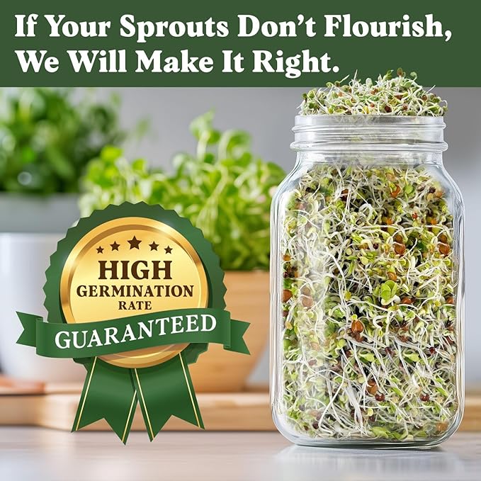Seedboy Organic Non-GMO Sprouting Seeds, Superfood & Protein Blend – 2 Pack Bundle – USA Grown Sprouting & Microgreens Seeds – Two 8 oz Bags Makes 12 Quarts / 36 Servings (Superfood/Protein)