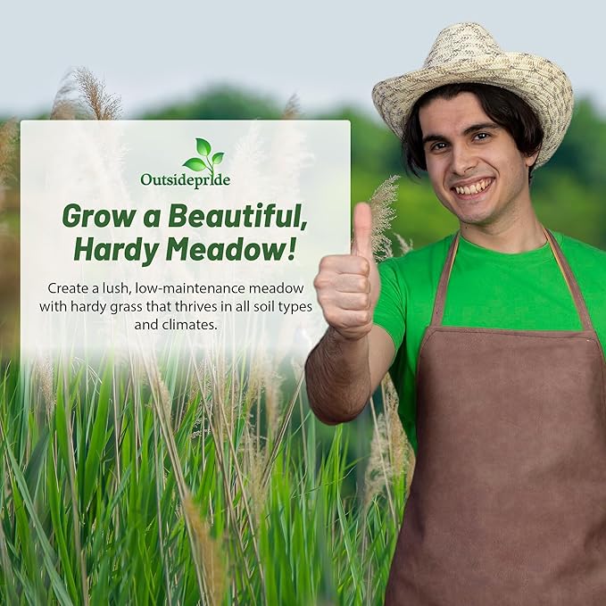 Outsidepride Indian Native Grass Seed - 10 lbs. Perennial, Low Maintenance, Drought-Tolerant Prairie Grass Seed for Wildlife Habitat, Livestock Forage, Ornamental Landscaping & Erosion Control