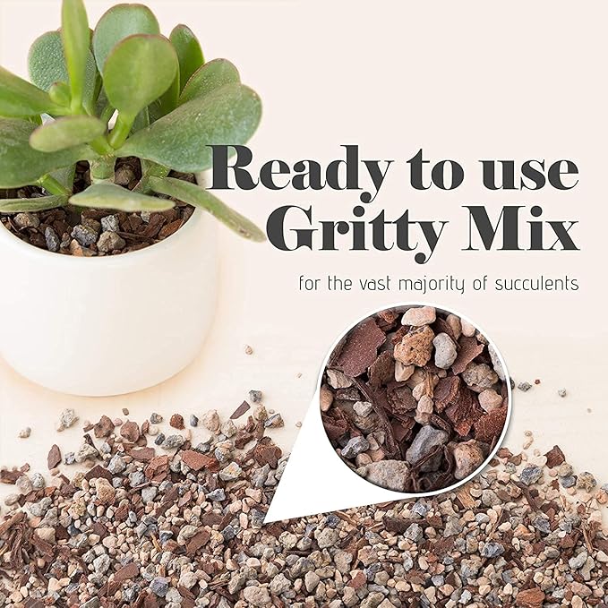 Bonsai Jack Succulent, Cactus and Bonsai Soil - Jacks Gritty Mix - 1 Gallon – Fast Draining – Fight Root Rot – Optimized pH …