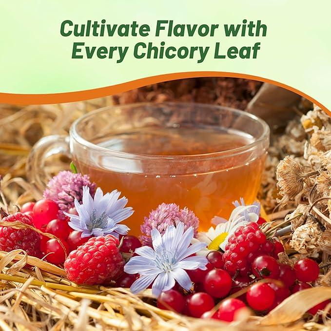 Outsidepride Chicory Seeds for Planting - 1/4 lb. Perennial, Easy to Grow & Drought Tolerant, Flower Seeds with Clustered Pastel Blue Blooms for Garden Pastures & Wildflower Meadows