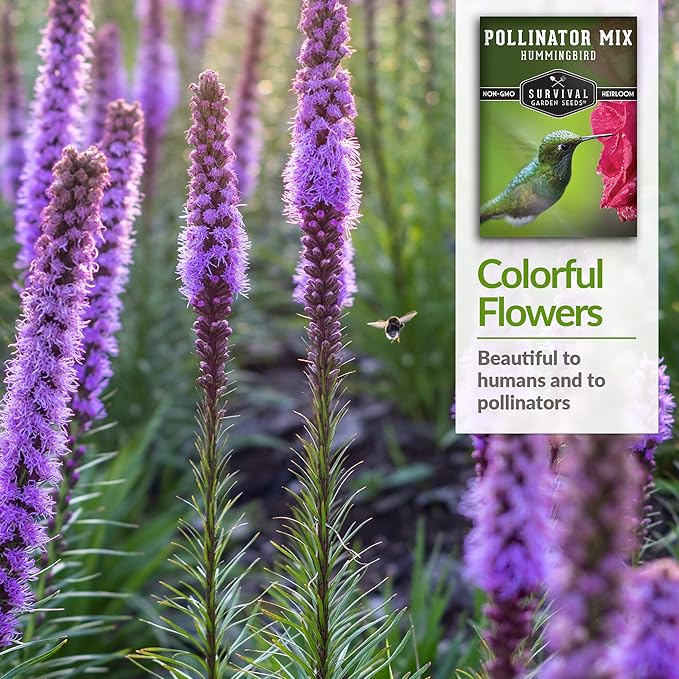 Hummingbird Pollinator Mix Wildflower Seed for Planting - Packet with Instructions to Plant and Grow Flowering Plants in Your Home Vegetable Garden - Non-GMO Heirloom Varieties - Survival Garden Seeds