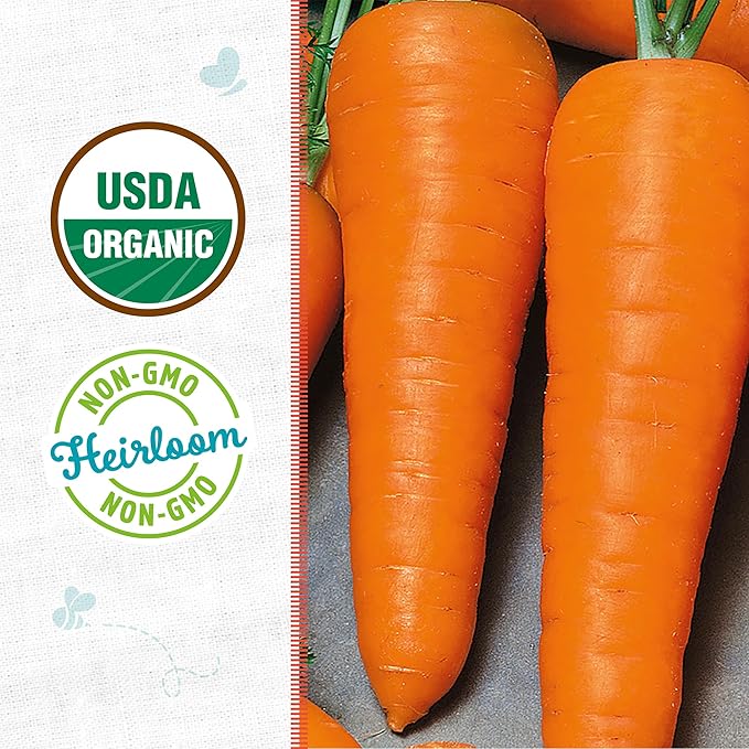 Back to The Roots 100% Organic Seed Packet - Carrot 'Chantenay Red Cored' 420mg