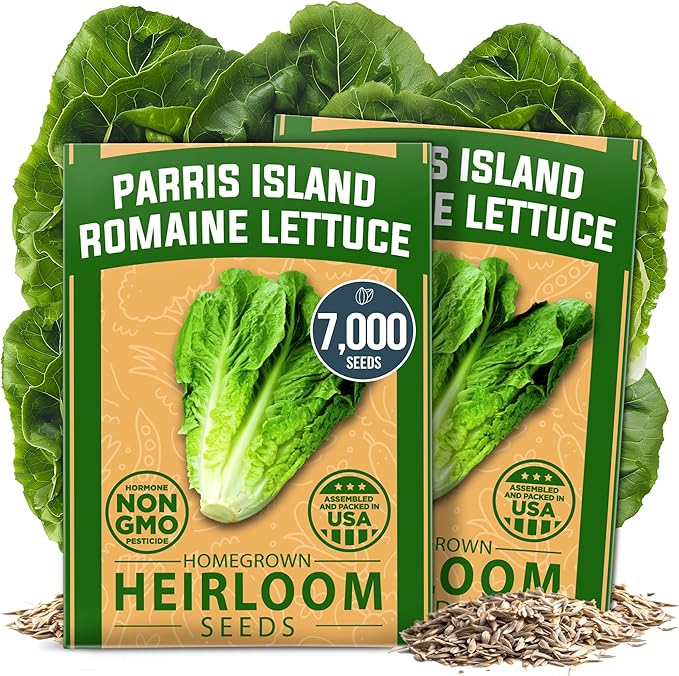 HOME GROWN Romaine Lettuce Seeds, Paris Island Bulk 7000 & Arugula 4350 & Bloomsdale Spinach 704