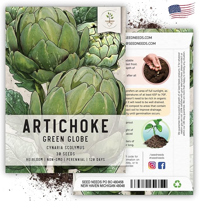 Seed Needs Artichoke Seeds for Planting Green Globe Artichokes - Non-GMO Heirloom & Untreated - Grow an Outdoor Home Grown Vegetable Garden for Fresh Produce (2 Packs)