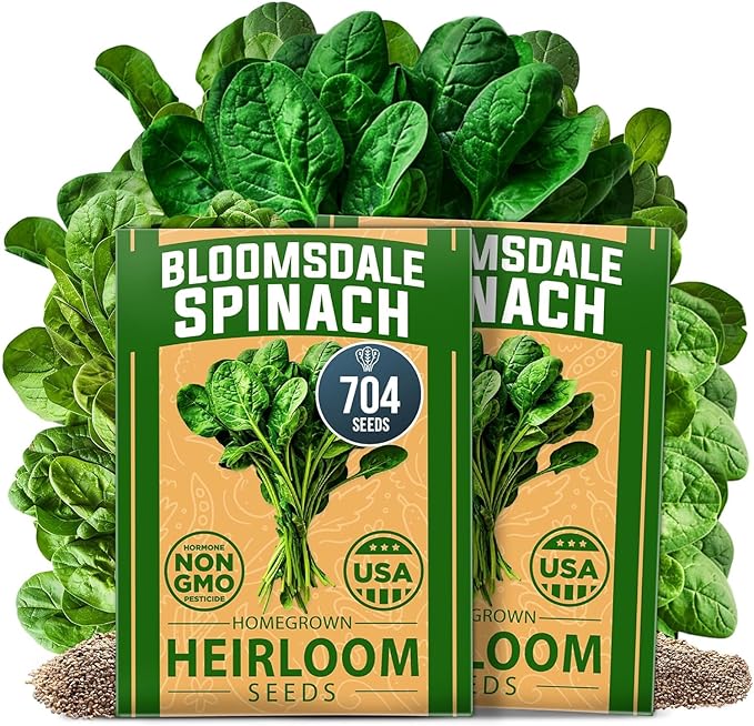 HOME GROWN Romaine Lettuce Seeds, Paris Island Bulk 7000 & Arugula 4350 & Bloomsdale Spinach 704