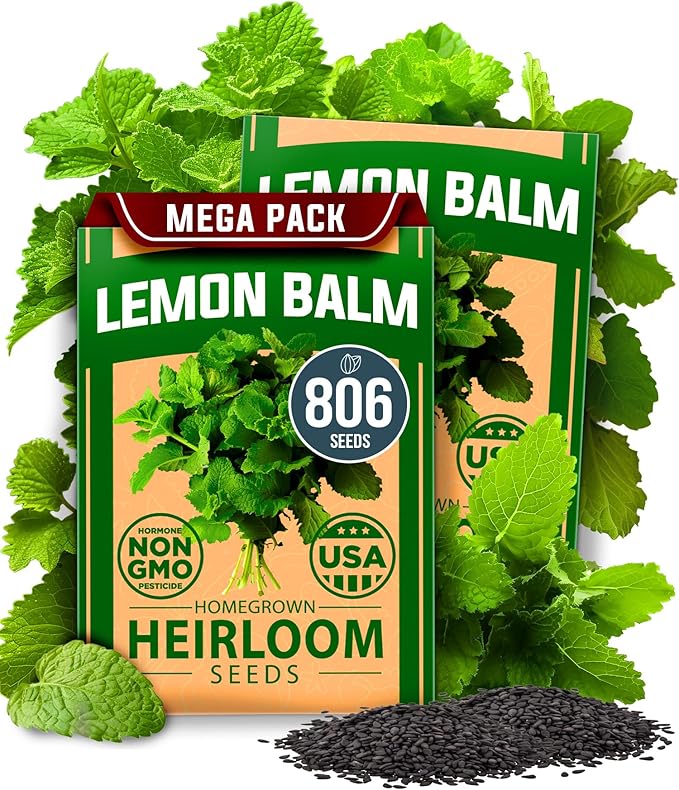 HOME GROWN Genovese Basil Seeds 2 Pack 3500 & Peppermint 4,740 & White Sage 646 & Lemon Balm 806
