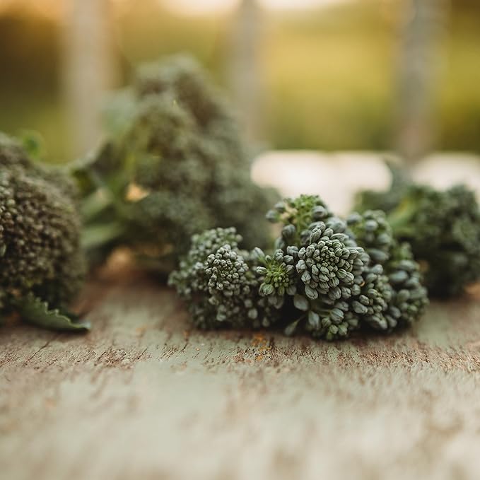 Di Cicco Broccoli (De Cicco)- 100 Seeds - Heirloom & Open-Pollinated Variety, USA-Grown, Non-GMO Vegetable Seeds for Planting Outdoors in The Home Garden, Thresh Seed Company