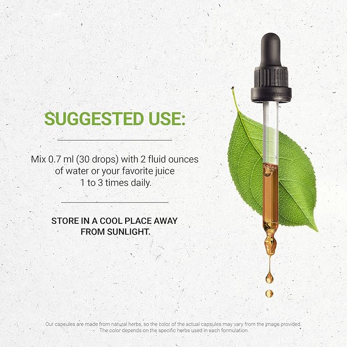 Secrets of the Tribe Mistletoe Tincture Alcohol-Free Liquid Extract, Mistletoe (Viscum Album) Dried Herb (4 FL OZ)