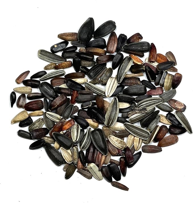 Seed Needs Sunflower Seeds for Planting (15+ Varieties, Crazy Mixture) Heirloom Open Pollinated & Untreated - Attracts Butterflies & Bees to a Butterfly Garden (1 Pack)