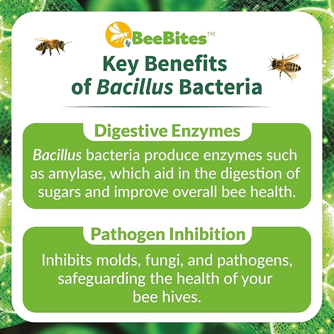 STRONG MICROBIALS BeeBites: SuperFood for Healthy Hives - Honey Bee Fondant with Spirulina and Chlorella - Probiotics Powered by Algae - Best Food for Queen Immunity - 10 Bars (50g Each)