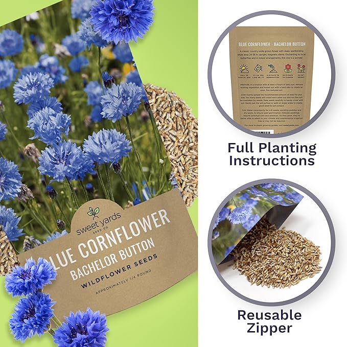 Blue Cornflower Seeds – Bachelor Buttons – Bulk Quarter Pound Bag – Over 20,000 Open Pollinated Non-GMO Wildflower Seeds – Centaurea cyanus