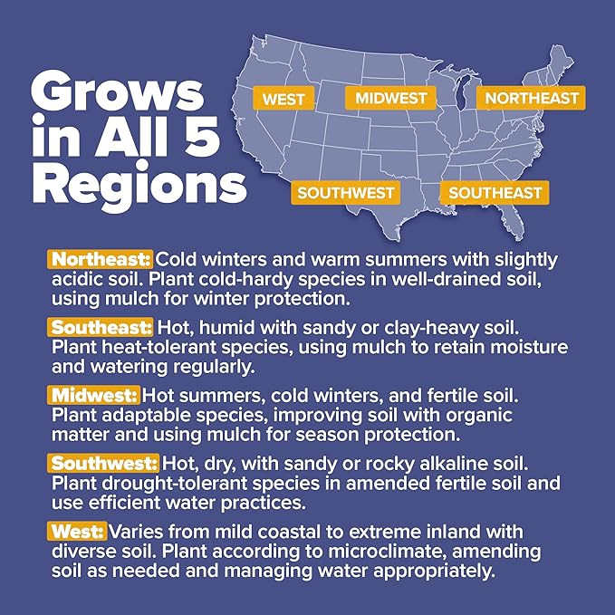 HOME GROWN Wildflower Seeds Mix - 47,400+ Non-GMO - 19 Perennial Flower Varieties for Planting Outdoors - Attract Butterflies & Birds - 3oz Wild Flower Seed Mix