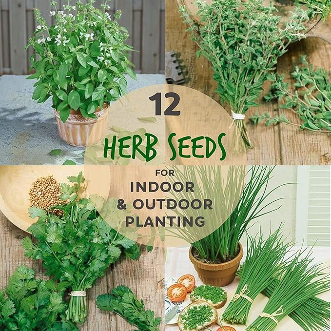 12 Culinary Herb Seeds Assortment - Non-GMO Herb Garden Starter Set - Grow Cooking Herbs: Parsley, Thyme, Cilantro, Basil, Dill, Oregano, Sage & More