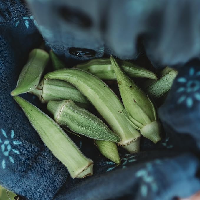 Cicek Okra - 50 Seeds - Rare Turkish Heirloom, Harvested for Baby Okra, Non-GMO, Heirloom Okra Seeds for Planting in The Home Garden, Thresh Seed Company