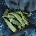 Cicek Okra - 50 Seeds - Rare Turkish Heirloom, Harvested for Baby Okra, Non-GMO, Heirloom Okra Seeds for Planting in The Home Garden, Thresh Seed Company