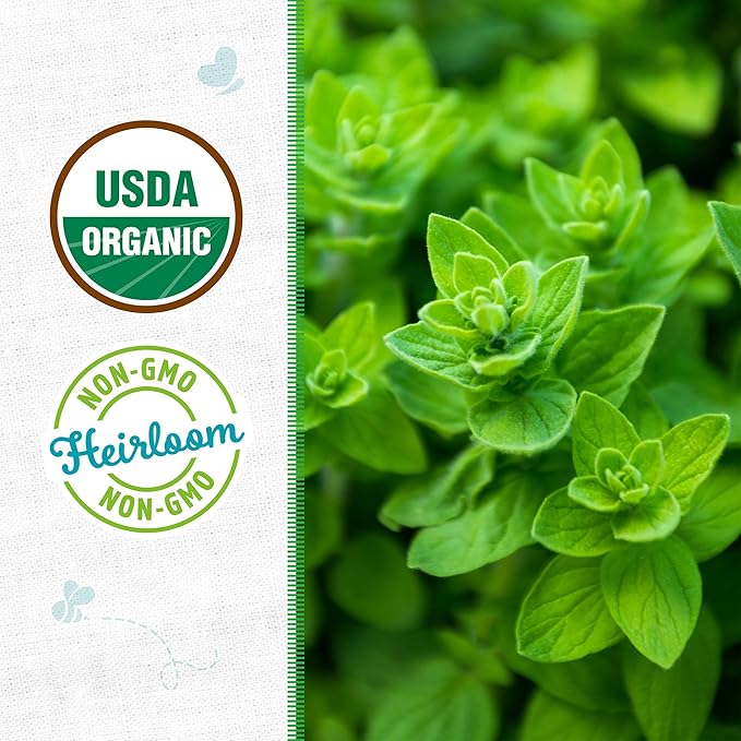 Back to The Roots 100% Organic Seed Packet - Oregano 'Italian' 70mg