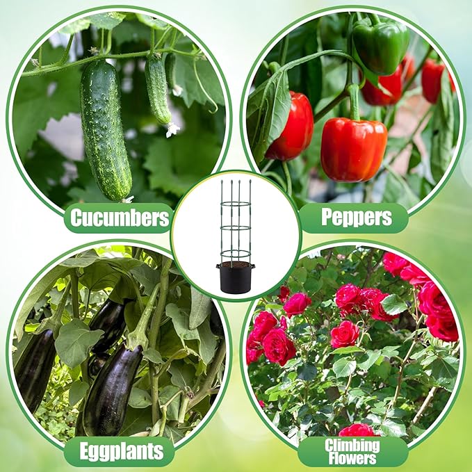 2 Sets Tomato Cages with 10-Gallon Sturdy Grow Bags, 48.5" Planter Support Trellis Pots Kit for Garden, Flowers Vegetable Cages for Cucumbers Eggplants Vertical Climbing Plants Vines