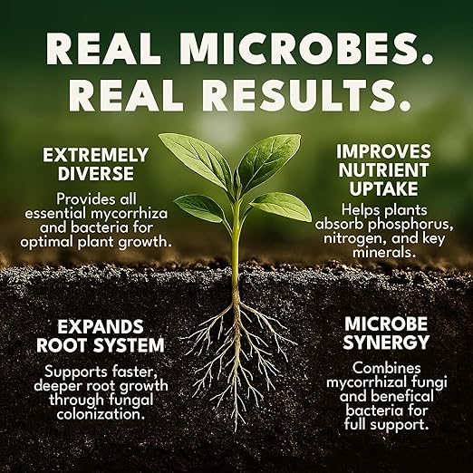 Dirty Green Microbe Blend Mycorrhizal Fungi & Beneficial Bacteria Inoculant – 4 oz Powder, 1000 Spores/g, Organic Root Booster for All Plants (No Fillers)