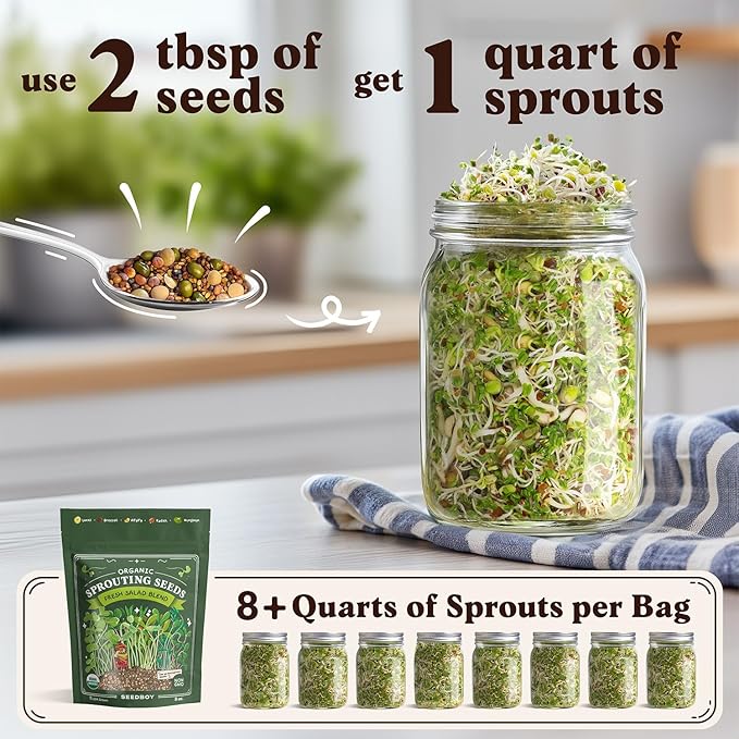Seedboy Organic Non-GMO Fresh Salad Blend Sprouting Seeds & Kit – Includes Jar, Lid & Stand – USA Grown Microgreens Mix – 8 oz Bag Makes 24 Servings (Sprouting Jar/Salad Blend)