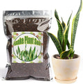 Premium Snake Plant Soil Mix 4qt, Indoor Plants Potting Mix for All Potted Snake Plants, Promote Healthy Growth and Easy Care