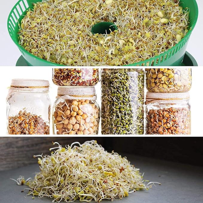 4 oz – Handy Pantry 5-Part Salad Sprout Mix – Organic, Non-GMO Seed Blend of Broccoli, Radish, Alfalfa, Lentil, and Mung Bean Seeds for Sprouting