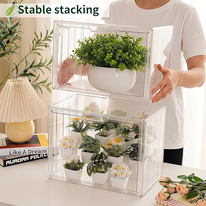 Clear Mini Greenhouse Indoor, Small Portable Tabletop Green House with Magnetic Door for Seed Starting, Plant Grow Warmer and Home Gardening Display