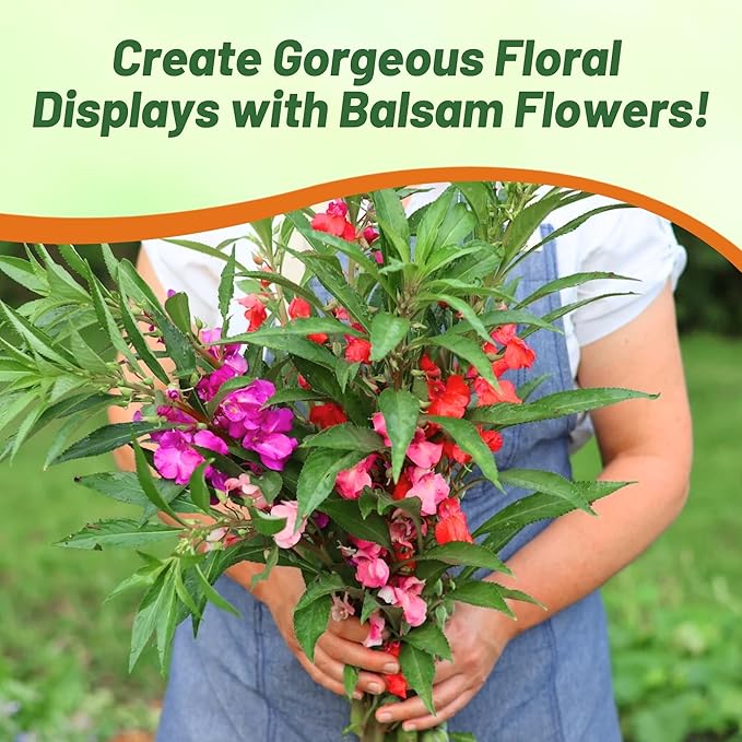 Outsidepride Balsam Impatiens Flower Seeds - 1000 Pcs Annual, Compact & Pollinator Friendly, Impatiens Seeds for Planting w/Vibrant, Abundant Blooms for Shade Gardens & Container Displays
