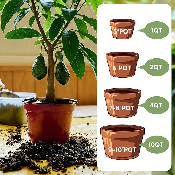 Avocado Soil 1qt, 100% Natural Organic Potting Soil for All-Stage Avocado Tree Growth